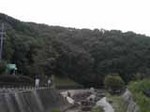 070804_1805~01.JPG