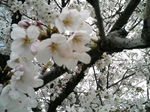 080402_1615~01.JPG