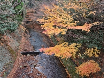 9.ねね橋.JPG