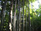 石清水八幡宮.JPG
