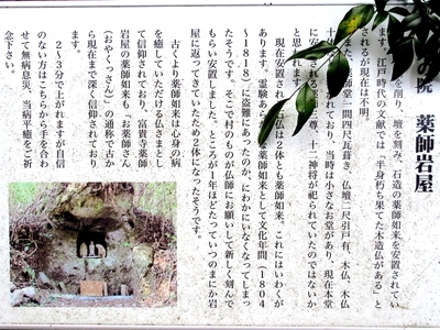 フキ富貴寺01 大分県豊後高田市 20250503 (28).JPG
