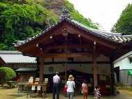 IMG_1354.jpg