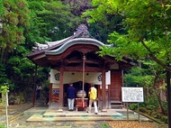 IMG_1359.jpg