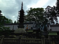 IMG_1368.jpg