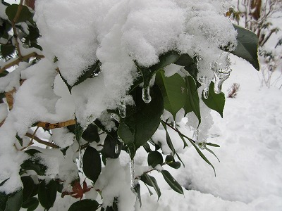 IMG_1401.jpg