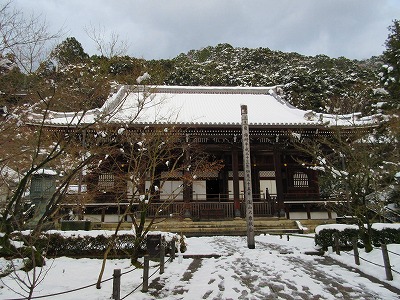 IMG_1444.jpg