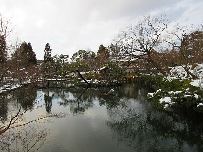 IMG_1447.jpg