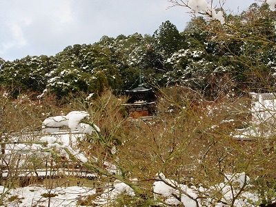 IMG_1450.jpg