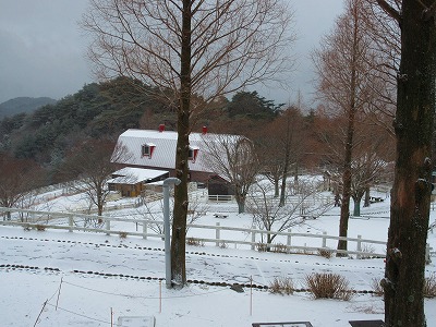 IMG_1538.jpg