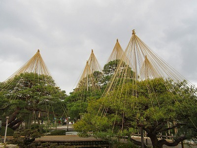 IMG_1587.jpg