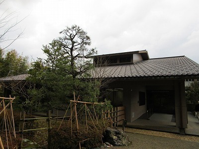 IMG_1686.jpg