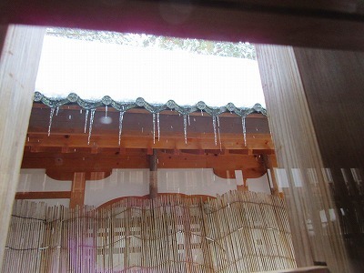 IMG_1833.jpg