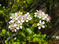 IMG_2486.jpg