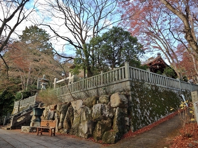 IMG_2600.JPG