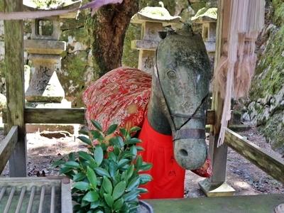 IMG_3070.JPG