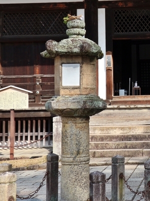 IMG_3367.JPG