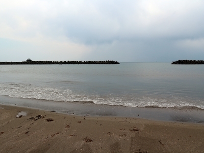 IMG_3437.JPG