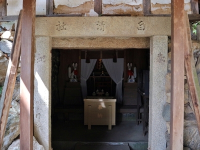 IMG_3583.JPG