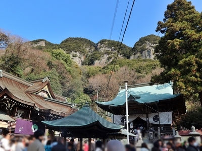 IMG_4337.JPG