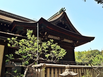 IMG_4426.JPG