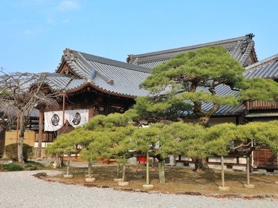 IMG_4467.JPG