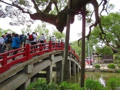 IMG_4496.jpg