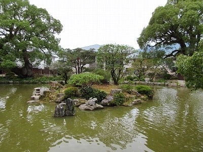 IMG_4501.jpg