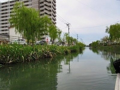 IMG_4565.jpg