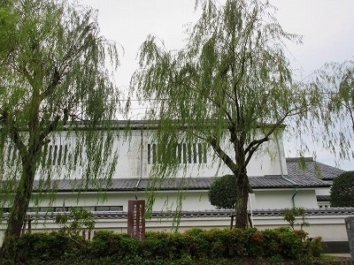 IMG_4571.jpg