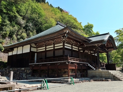 IMG_4620.JPG