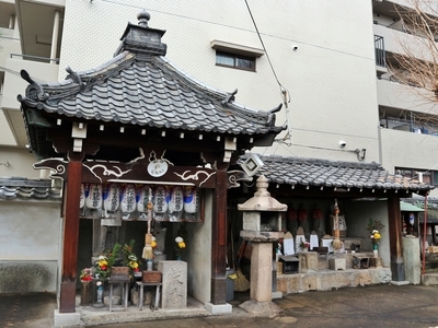 IMG_4625.JPG