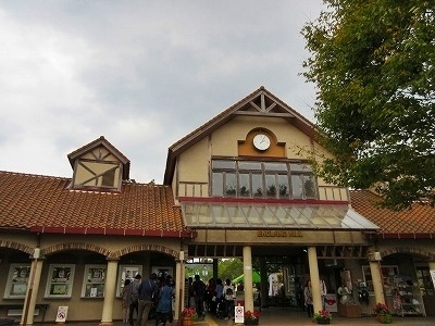 IMG_4760.jpg