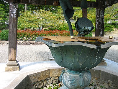 IMG_5139.jpg