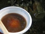 IMG_5520.jpg