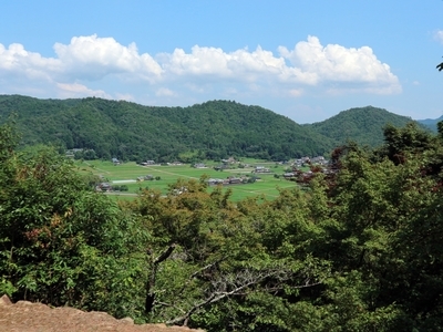 IMG_5529.JPG