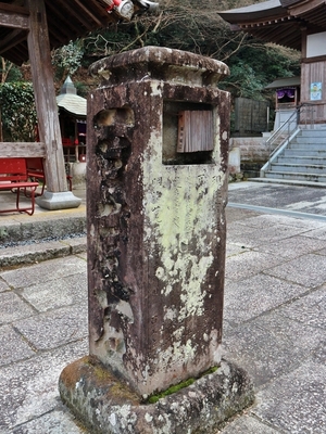 IMG_5550.JPG