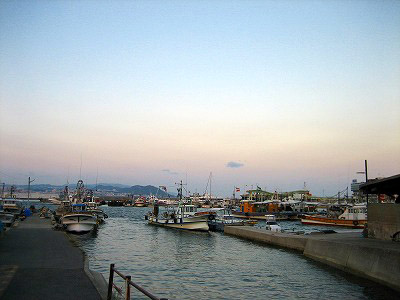 IMG_5560.jpg