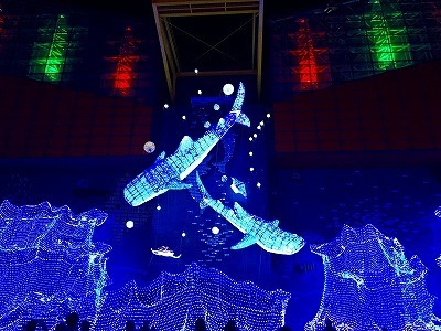IMG_5884.jpg