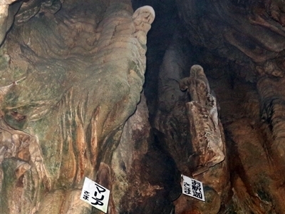 IMG_5928　連星殿.JPG