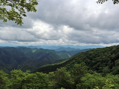 IMG_6009.JPG
