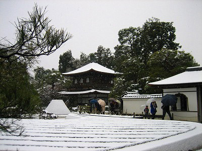 IMG_6072.jpg