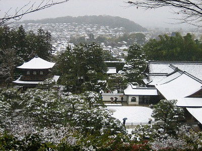 IMG_6087.jpg