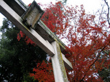 IMG_6161.JPG