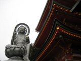 IMG_6187.JPG
