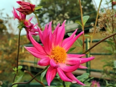 IMG_6189.JPG