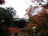 IMG_6208.JPG
