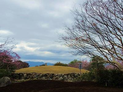 IMG_6332.jpg