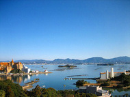 IMG_6510.jpg