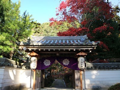 IMG_6652.JPG