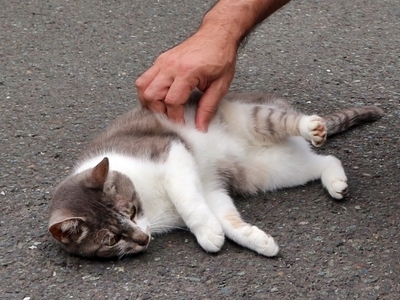 IMG_6658.JPG